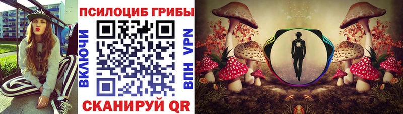 darknet состав  MEGA сайт  Бахчисарай  Псилоцибиновые грибы GOLDEN TEACHER 